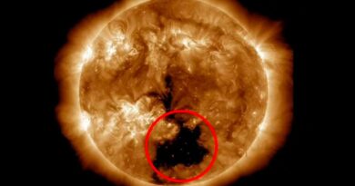 На Солнце образовалась корональная дыра в 20 раз больше Земли