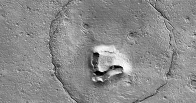 На Марсе обнаружили мишку